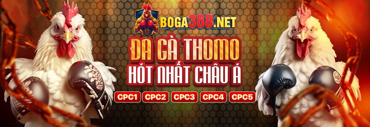 Đá gà trực tuyến f8bey chính thức